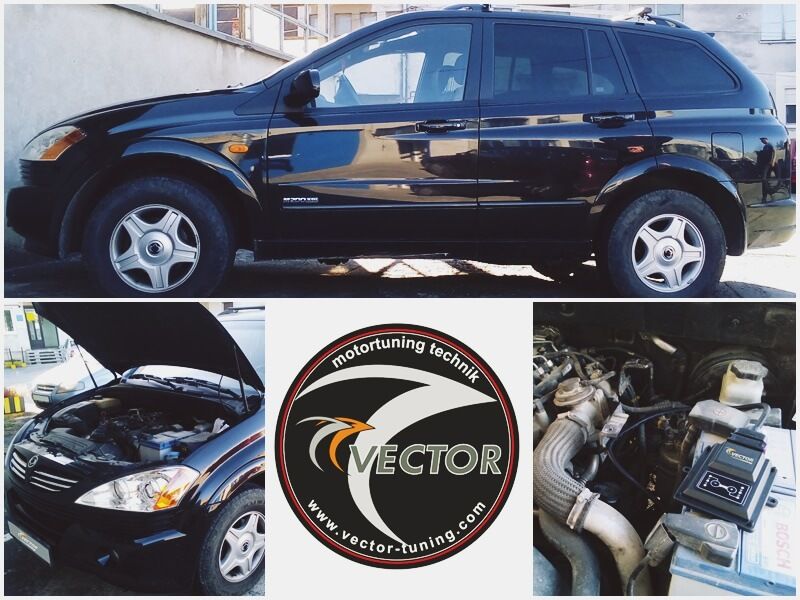 SsangYong Kyron 2.0 XDi tuned with W KeyPad Module